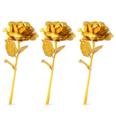 B Golden Rose used in all kinds of places like household, offices, cafe's, etc. for decorating and to look good purposes and all.