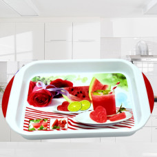 Big Plastic Tray for Kitchen and General Purpose