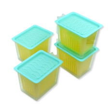 Fridge Storage Containers with Handle Plastic Storage Container for Kitchen(4 Pcs Set)